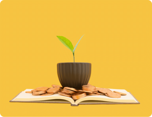 money-img